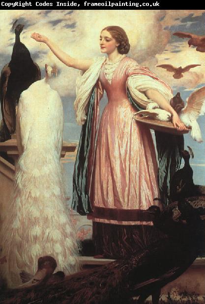 Lord Frederic Leighton A Girl Feeding a Peacock